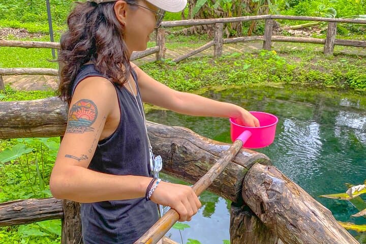 Sticky Waterfalls & Thai Cooking Course — Day Trip from Chiang Mai photo 5