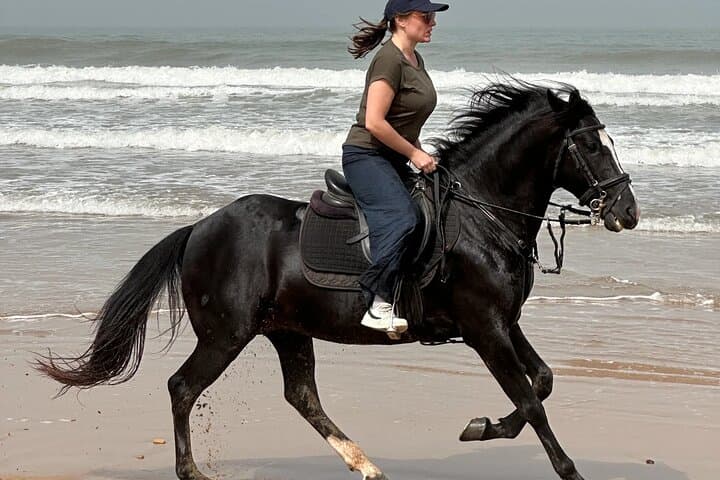 Sunset Horseback Riding in Essaouira — Beaches, Dunes & Argan Forests photo 5