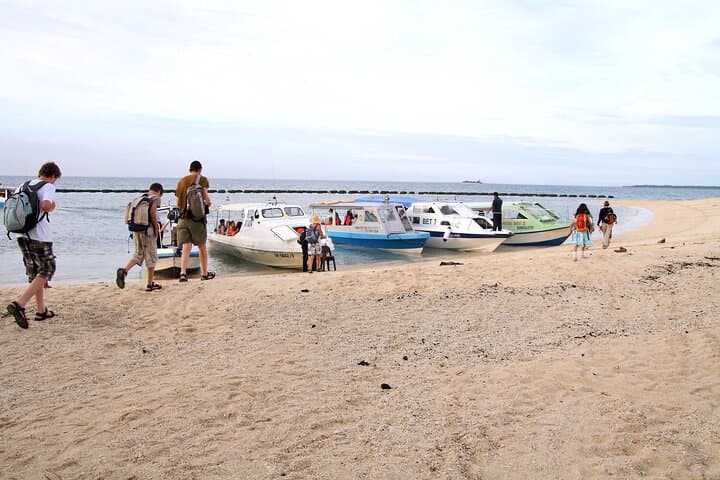 Turtle Island Sanctuary: 2-Day Night Watch on Sandakan’s Nesting Beaches photo 4