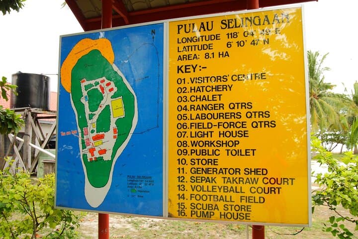 Turtle Island Sanctuary: 2-Day Night Watch on Sandakan’s Nesting Beaches photo 6