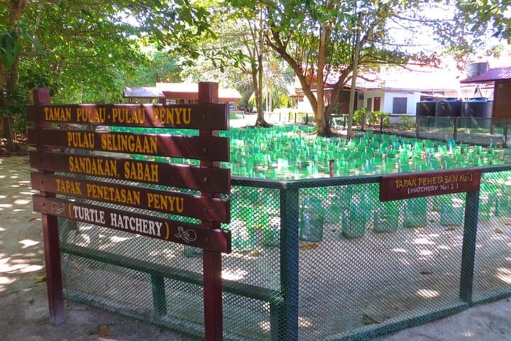 Turtle Island Sanctuary: 2-Day Night Watch on Sandakan’s Nesting Beaches photo 2