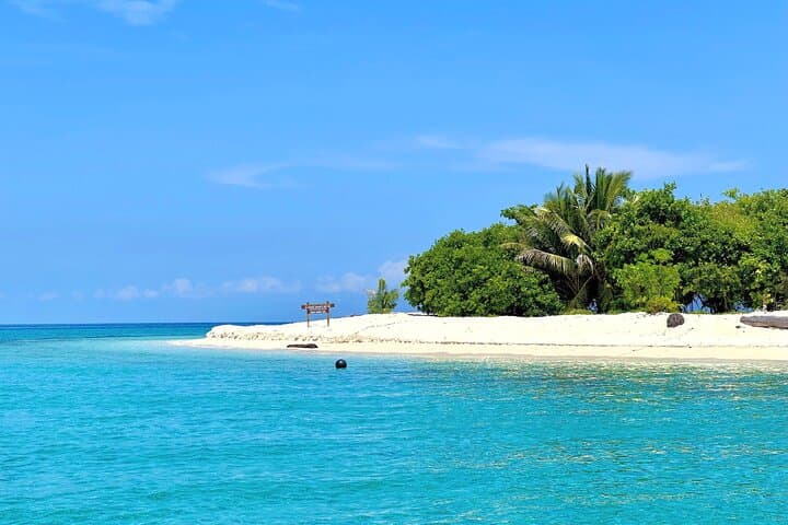 Turtle Island Sanctuary: 2-Day Night Watch on Sandakan’s Nesting Beaches photo 3
