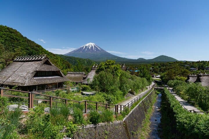 Mount Fuji Full-Day from Tokyo: Lake Views, 5th Station & Oshino Hakkai photo 2