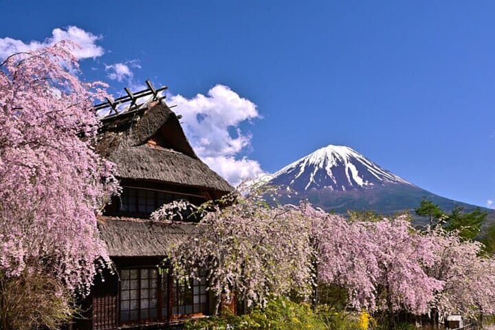 Mount Fuji Full-Day from Tokyo: Lake Views, 5th Station & Oshino Hakkai photo 3
