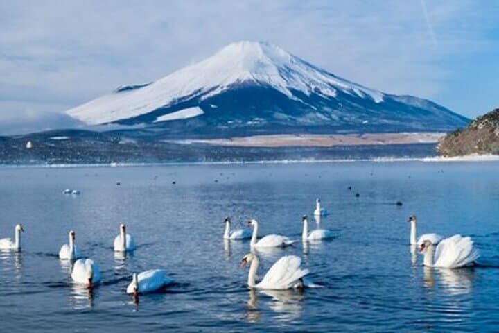 Mount Fuji Full-Day from Tokyo: Lake Views, 5th Station & Oshino Hakkai photo 4