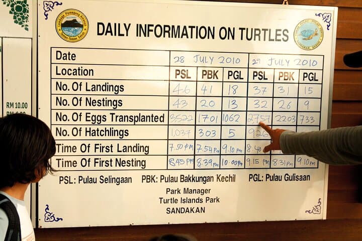 Turtle Island Sanctuary: 2-Day Night Watch on Sandakan’s Nesting Beaches photo 5