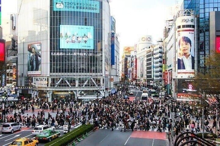 All-Inclusive Tokyo Shared Tour with Hotel Pickup — Tsukiji, Skytree & Meiji Shrine photo 6