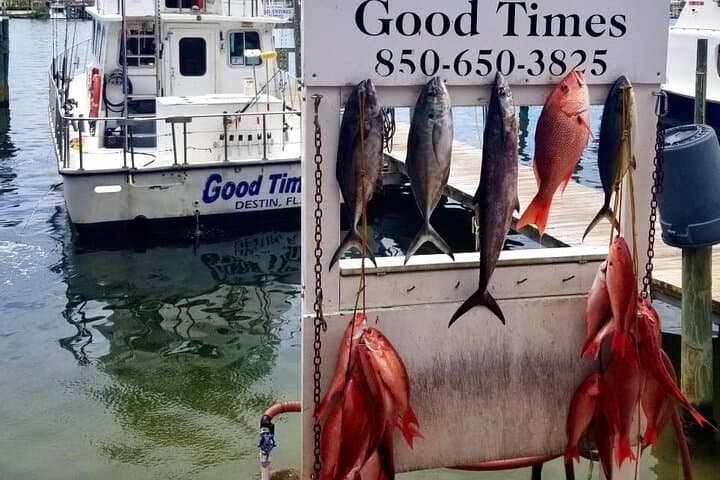 Shared Deep Sea Fishing Trip from Destin: 6-Hour Bottom Fishing Charter photo 4