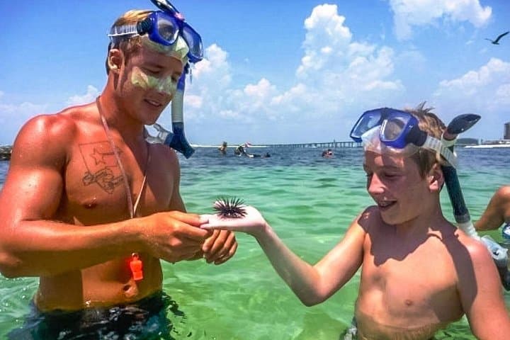 Destin Private Snorkel and Shelling Cruise to Crab Island & East Jetty photo 2