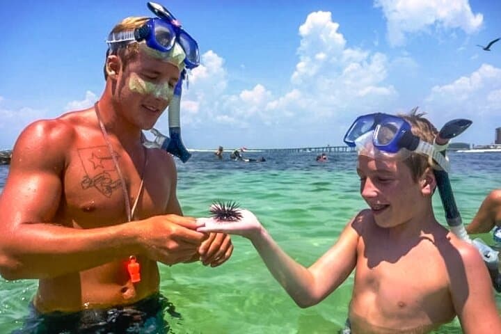 Snorkeling, Shelling & Eco Excursion on Destin's Emerald Coast photo 6