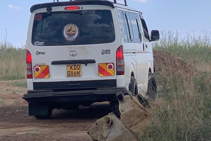 Exploring Nairobi National Park: A Half-Day Guided 4x4 Safari Near the City