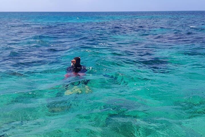 Negril Glass-Bottom Boat & Snorkel Tour — 3-Hour Cruise from Seven Mile Beach photo 6