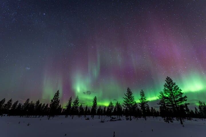 Aurora Guarantee: Ultimate Northern Lights Experience in Rovaniemi, Finland photo 5
