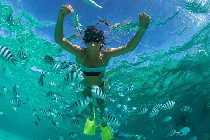 4-Hour Snorkel Tour to Anse Cochon, Anse Mamin & Sugar Beach — St. Lucia Reef Safari