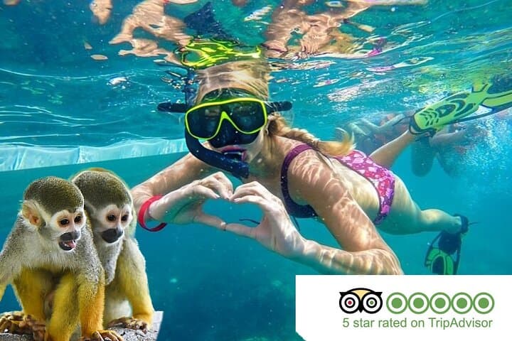 Sosúa Snorkel and Monkey Jungle Adventure in Puerto Plata