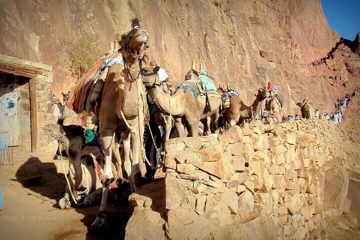 Mount Moses Sunrise Trek and St. Catherine's Monastery Tour from Sharm El Sheikh photo 3