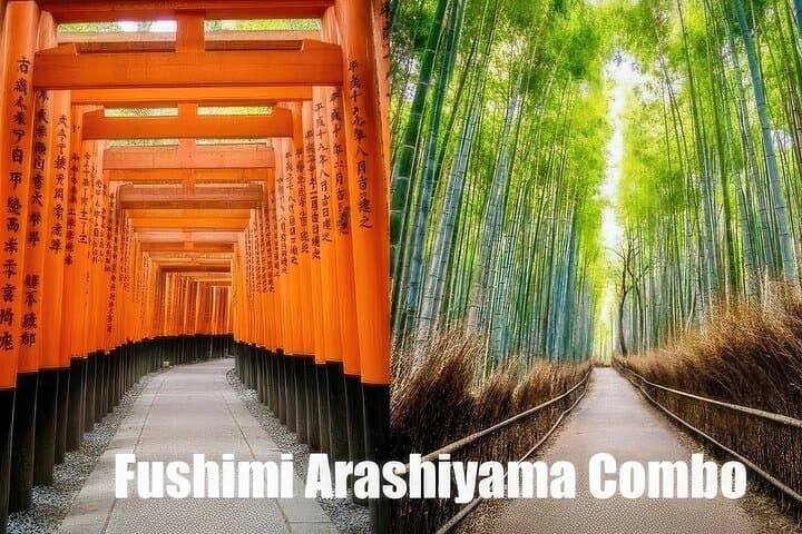 Arashiyama Walking Tour: Bamboo Grove, Tenryuji & Monkey Park in Kyoto photo 3