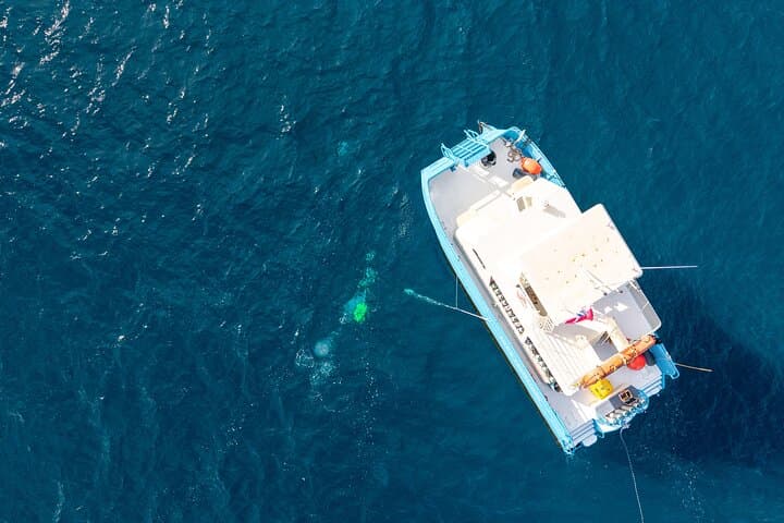 Two-Tank Wreck & Reef Dive Off Wai'anae — Guided Deep and Shallow Dives on Oahu