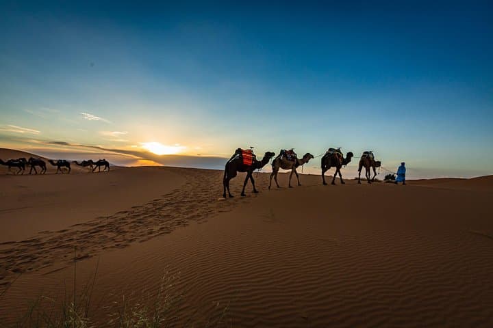 2-Day Merzouga Desert Tour from Fes: Camel Trek, Erg Chebbi Camp & Berber Night photo 4