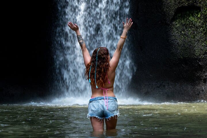 Full-Day Ubud Tour: Bali Swing, Monkey Forest, Tegalalang & Twin Waterfalls photo 5