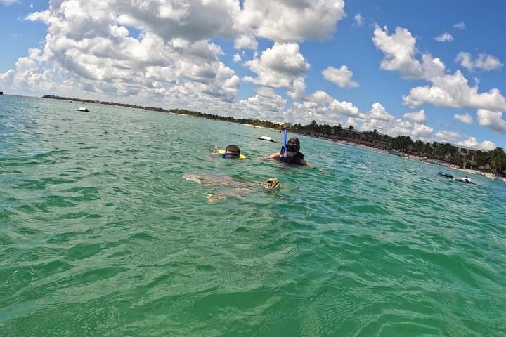 Akumal Snorkeling with Sea Turtles — Guided Reef Swim in a Protected Bay photo 1