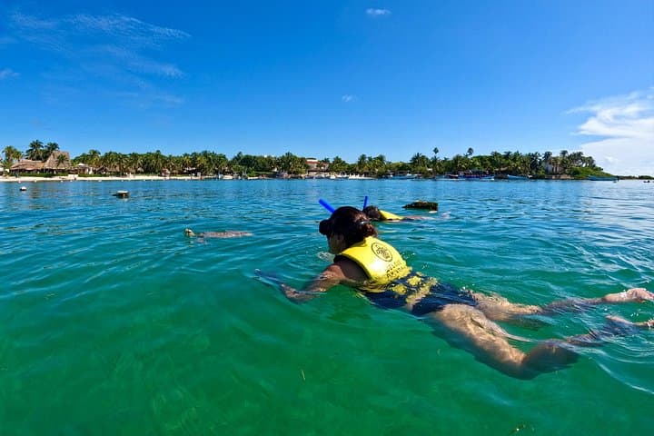Akumal Snorkeling with Sea Turtles — Guided Reef Swim in a Protected Bay photo 2