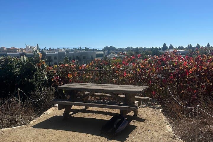 Santa Cruz Walking Tour: Downtown & Mission Hill Highlights photo 5