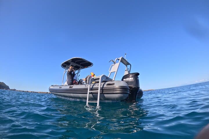 Goat Island Guided Boat Dive — Leigh Marine Reserve Day Trip