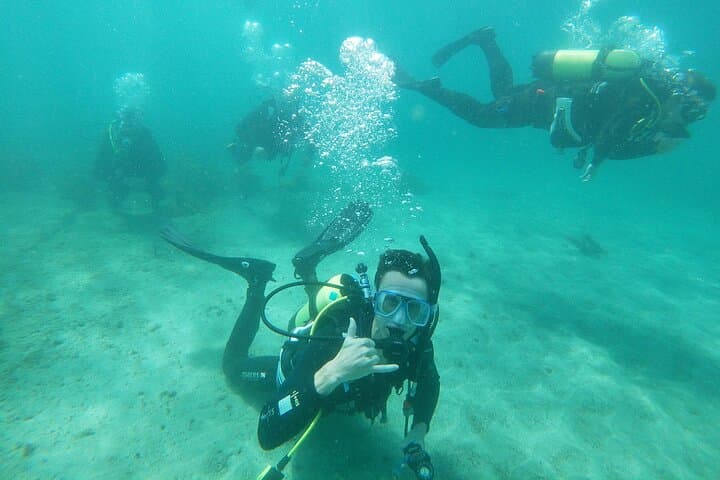 Goat Island Guided Boat Dive — Leigh Marine Reserve Day Trip photo 2
