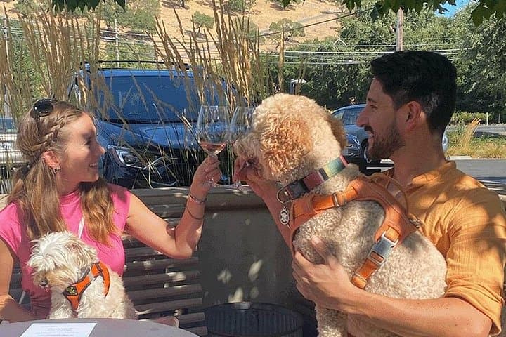 Dog-Friendly Napa and Sonoma Wine Tour in a Private Luxury SUV photo 3
