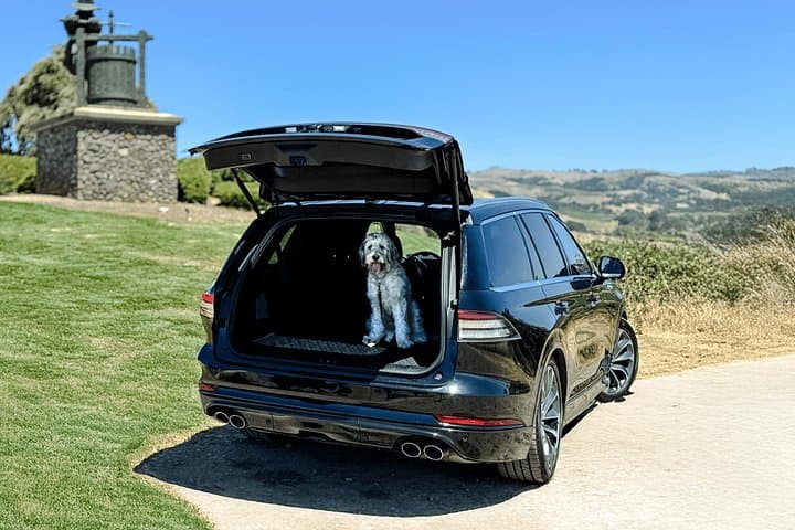Dog-Friendly Napa and Sonoma Wine Tour in a Private Luxury SUV photo 2