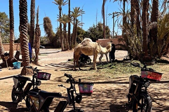 E-Bike Sunset Adventure Through Marrakech Palmeraie Oasis