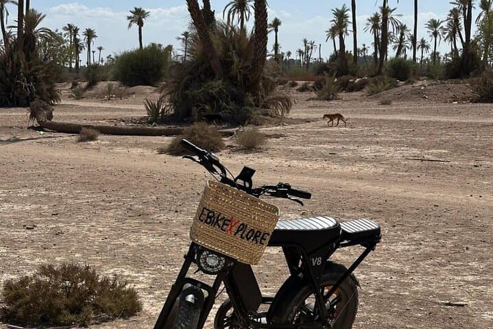E-Bike Sunset Adventure Through Marrakech Palmeraie Oasis photo 3