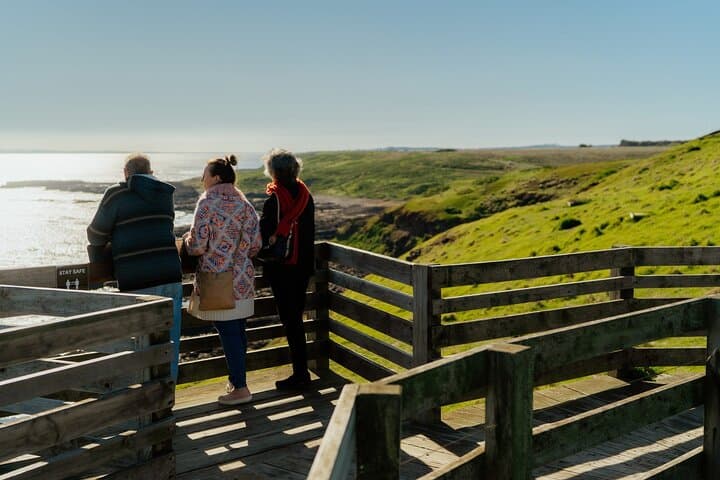 Phillip Island Penguin Parade: Private Wildlife Day Trip from Melbourne photo 6