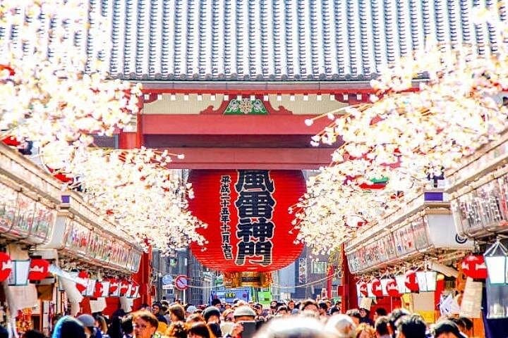 Private Full-Day Tokyo Highlights: Asakusa, Harajuku & Shibuya with a Local Guide photo 1