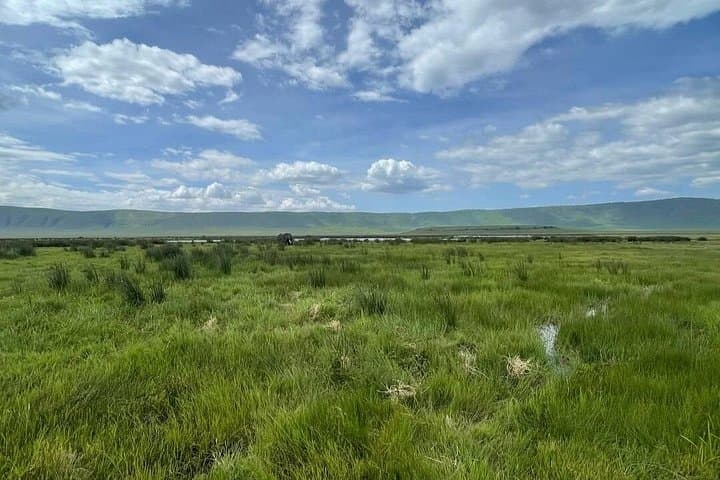 Ngorongoro Crater Day Trip — Into the Garden of Eden photo 1
