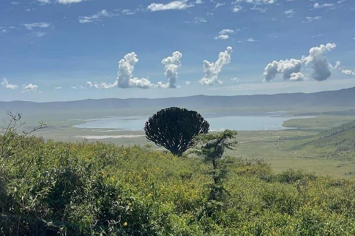 Ngorongoro Crater Day Trip — Into the Garden of Eden photo 2