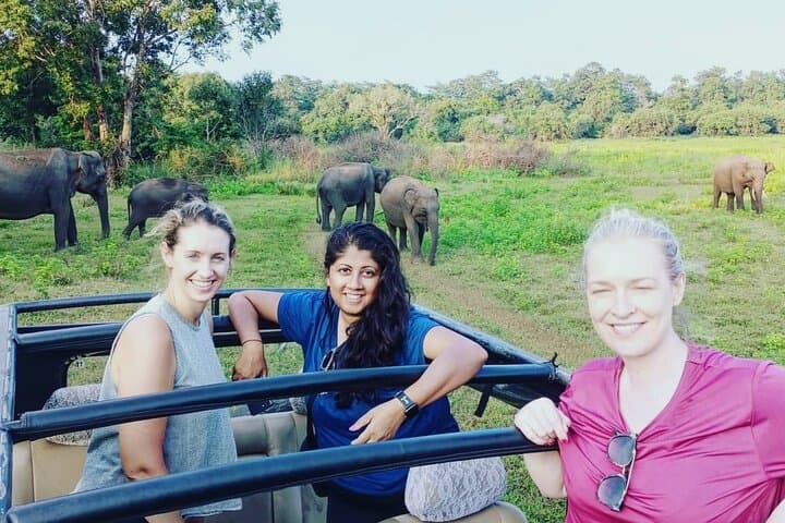 Watching the Elephant Gathering: All-Inclusive Minneriya Safari from Polonnaruwa photo 2