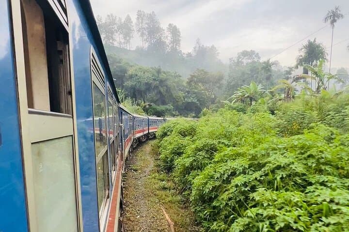 Ella Day Trip: Scenic Train Ride, Nine Arches Bridge & Yala Safari photo 3