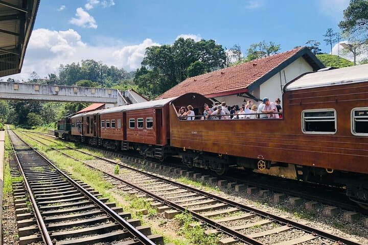 Ella Day Trip: Scenic Train Ride, Nine Arches Bridge & Yala Safari photo 2