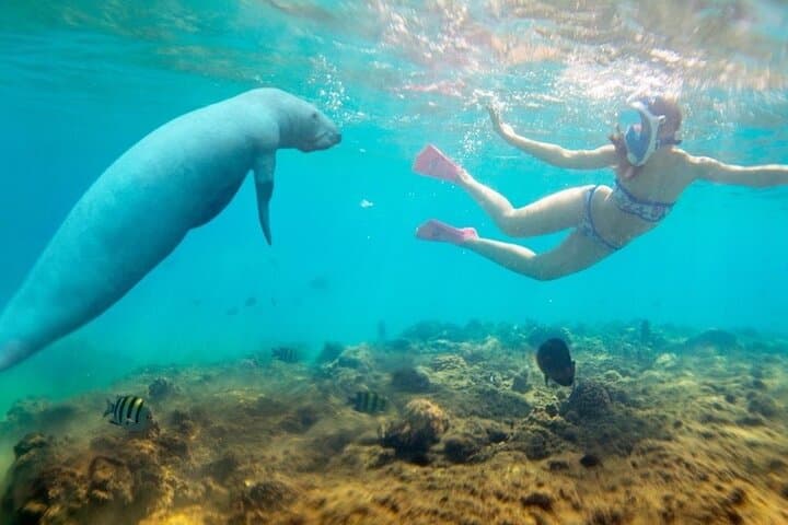 Red Sea Semi-Submarine Tour from Hurghada — Giftun Coral Views Without Getting Wet photo 3