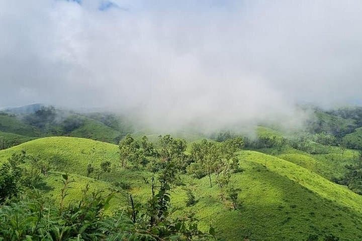 Kochi to Munnar Private Day Trip: Tea Gardens, Waterfalls & Eravikulam
