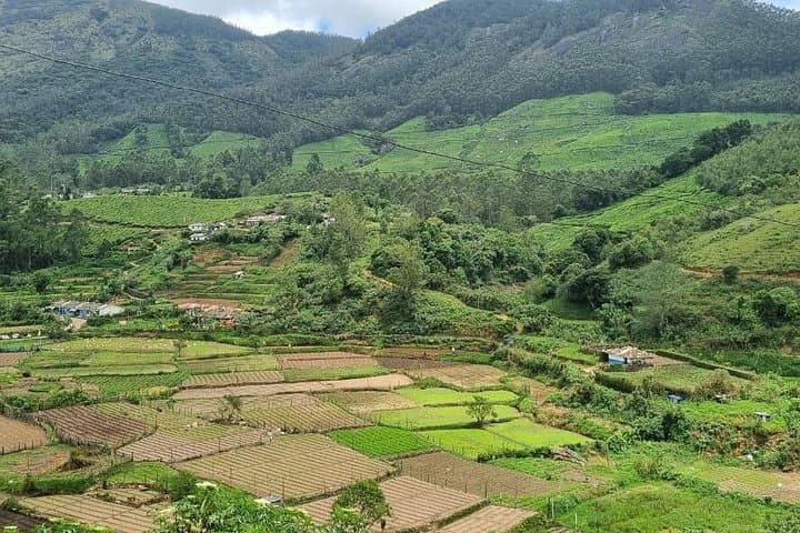 Kochi to Munnar Private Day Trip: Tea Gardens, Waterfalls & Eravikulam photo 2