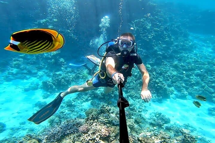 Ras Mohamed & White Island: Full-Day Snorkel and Intro Dive from Sharm El Sheikh