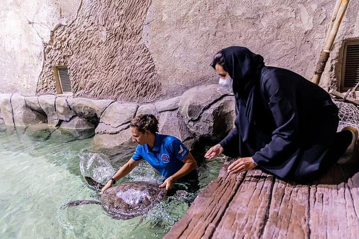 Yas Waterworld & National Aquarium Abu Dhabi: Combo Tickets and What to Expect photo 3
