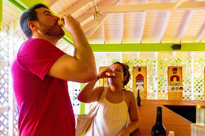 St Lucia Rum Distillery Tour & Sulphur Springs Mud Bath Excursion — Soufrière Day Trip photo 5