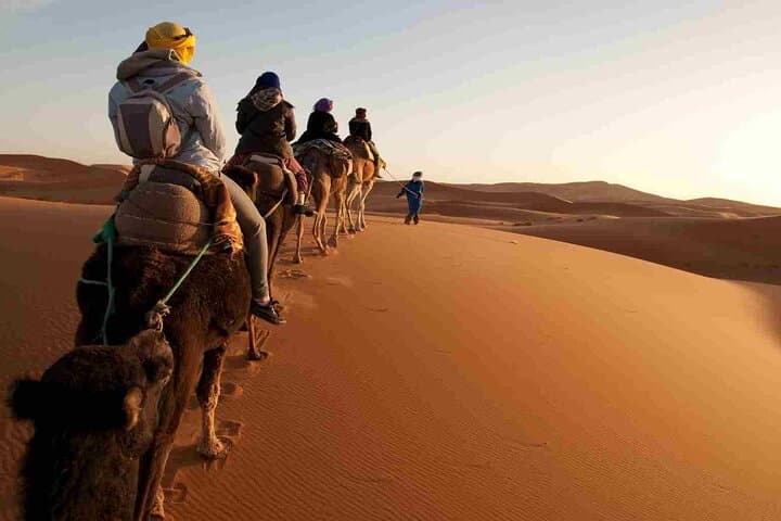 Marsa Alam Sea and Desert Camel Ride: Sunrise, Sunset & Coastal Dunes photo 4