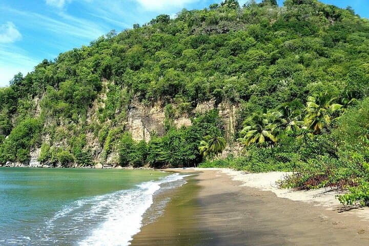 Kayak the Roseau River: Mangrove Paddle & Beach Bar Stop in Saint Lucia photo 2