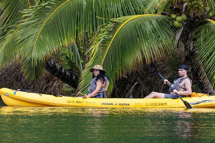 Kayak the Roseau River: Mangrove Paddle & Beach Bar Stop in Saint Lucia photo 4