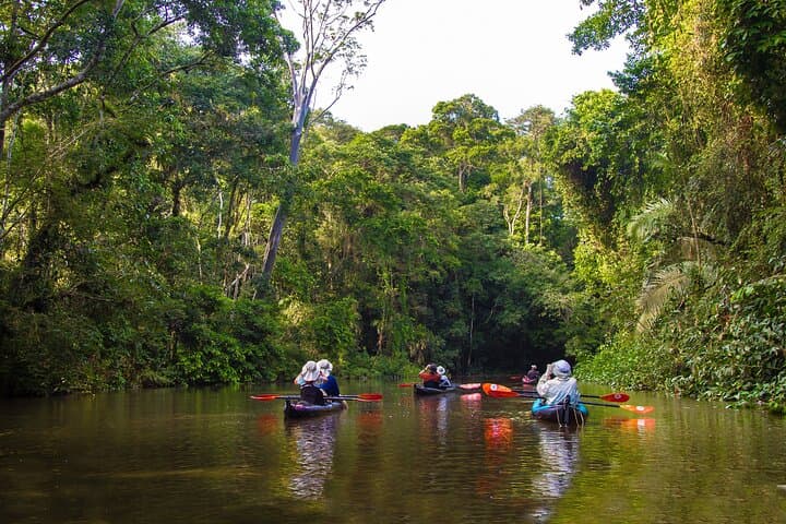 Kayak the Roseau River: Mangrove Paddle & Beach Bar Stop in Saint Lucia photo 5